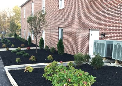 commercial landscaping project: flower bed next to planted bushes and trees
