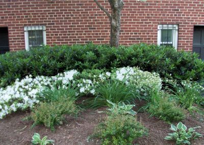 Native Landscaping project columbia maryland