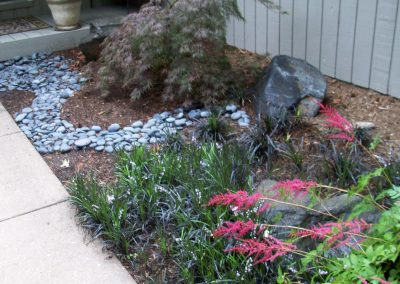A small native landscape in the front walkway