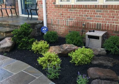 landscaping project with native plants and stone